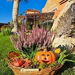 Hotel Galanta Galanta