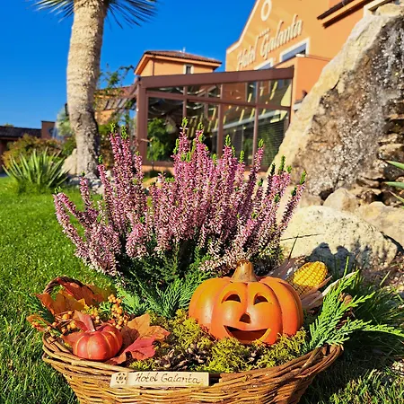 Hotel Galanta Galanta